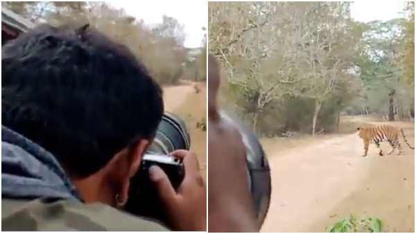 ಮತ್ತೆ ಕ್ಯಾಮರಾ ಹಿಡಿದು ಕಾಡಿಗೆ ಹೊರಟ ದರ್ಶನ್; ಹುಲಿ ಸೆರೆಹಿಡಿಯುತ್ತಿರುವ ವಿಡಿಯೋ ವೈರಲ್