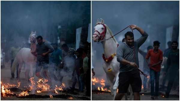 ಫಾರ್ಮ್ ಹೌಸ್ ನಲ್ಲಿ ಡಿ ಬಾಸ್ ಸಂಕ್ರಾಂತಿ; ಕಿಚ್ಚು ಹಾಯಿಸಿ ಸಂಭ್ರಮಿಸಿದ ದರ್ಶನ್ ಬಳಗ