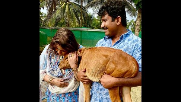 ತೋಟದ ಮನೆಯಲ್ಲಿ ಸಂಕ್ರಾಂತಿ ಆಚರಿಸಿದ ಪ್ರೇಮ್-ರಕ್ಷಿತಾ ದಂಪತಿ