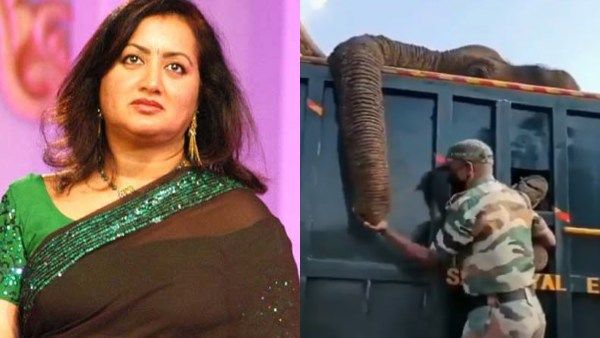 ಬೆಂಕಿ ಹಚ್ಚಿ ಆನೆ ಸಾವು: ಈ ಪೈಶಾಚಿಕ ಕೃತ್ಯ ನಡೆಸಿದ ಪಾಪಿಗಳಿಗೆ ಕಠಿಣ ಶಿಕ್ಷೆ ಆಗಲೇಬೇಕು- ಸುಮಲತಾ