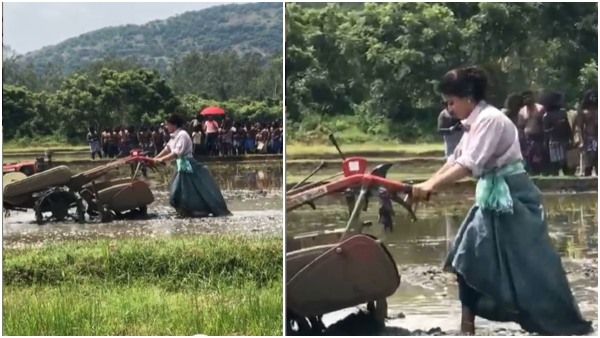 ಹೊಲದಲ್ಲಿ ಉಳುಮೆ ಮಾಡುತ್ತಿರುವ ನಟಿ ರಶ್ಮಿಕಾ: ವಿಡಿಯೋ ವೈರಲ್