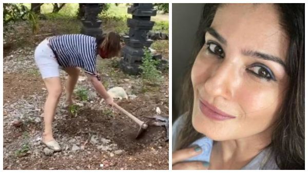 ಸಲಿಕೆ ಹಿಡಿದು ತೋಟದ ಕೆಲಸಕ್ಕೆ ಇಳಿದ ಕೆಜಿಎಫ್ ಸುಂದರಿ