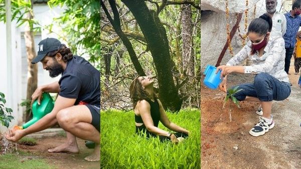 ವಿಶ್ವ ಪರಿಸರ ದಿನ: ಗಿಡ ನೆಟ್ಟು ಮಾದರಿಯಾದ ಸಿನಿಮಾ ಸ್ಟಾರ್ಸ್