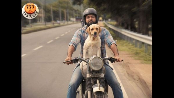 '777 ಚಾರ್ಲಿ' ಟೀಸರ್ ಬಿಡುಗಡೆ: ಧರ್ಮ-ಚಾರ್ಲಿಯ ಪ್ರೀತಿ ಪಯಣ