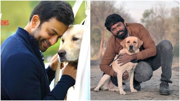 ರಕ್ಷಿತ್ ಶೆಟ್ಟಿ '777 ಚಾರ್ಲಿ'ಗೆ ಮಲಯಾಳಂ ಖ್ಯಾತ ನಟ ಪೃಥ್ವಿರಾಜ್ ಸಾಥ್