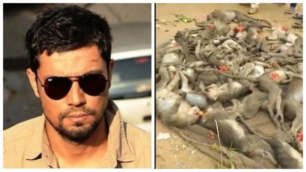 ಸಕಲೇಶಪುರದಲ್ಲಿ ನಡೆದ ಅಮಾನವೀಯ ಘಟನೆ ಖಂಡಿಸಿದ ಬಾಲಿವುಡ್ ನಟ