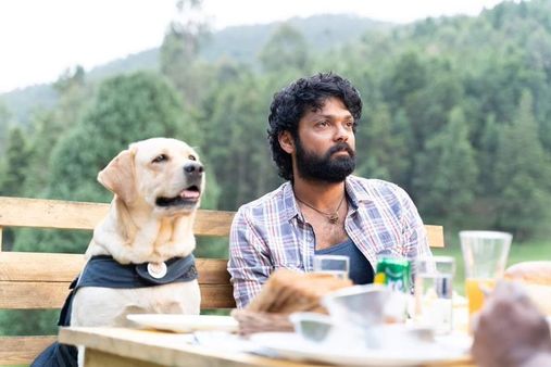 ಈ ವರ್ಷ ರಕ್ಷಿತ್ ಶೆಟ್ಟಿಯ '777 ಚಾರ್ಲಿ' ರಿಲೀಸ್ ಇಲ್ಲ: ಮತ್ಯಾವಾಗ ಚಾರ್ಲಿ?