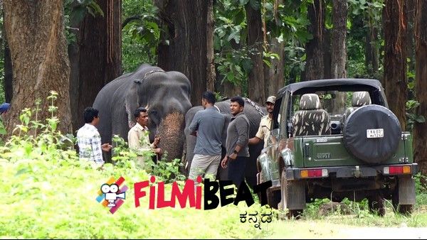ಪುನೀತ್ ರಾಜಕುಮಾರ್ ಮುದ್ದಾಡಿದ್ದ ಆನೆಗೆ ಪುನೀತ್ ಹೆಸರು ನಾಮಕರಣ