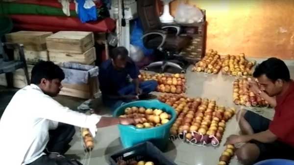 'ಮದಗಜ' ರೋರಿಂಗ್ ಸ್ಟಾರ್ ಶ್ರೀಮುರಳಿ ಕೊರಳಿಗೆ ಬರೋಬ್ಬರಿ 450 ಕೆಜಿ ಸೇಬಿನ ಹಾರ