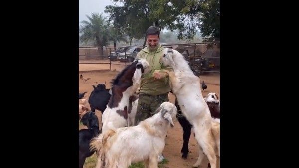 ವೈರಲ್ ವಿಡಿಯೋ: ಕುರಿ-ಕೋಳಿಗಳಿಗೆ ಮೇವು ತಿನ್ನಿಸುತ್ತಿರುವ ಅಕ್ಷಯ್ ಕುಮಾರ್‌