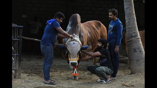 ನಿರ್ದೇಶನದೊಂದಿಗೆ ಹೊಸ ಕಾಯಕಕ್ಕೆ ಕೈ ಹಾಕಿದ ಜೋಗಿ ಪ್ರೇಮ್!
