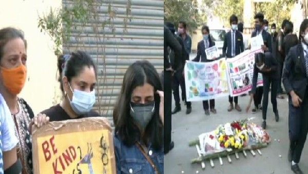 ಬೀದಿ ನಾಯಿ ಲಾರಾ ಅಂತ್ಯಸಂಸ್ಕಾರದಲ್ಲಿ ರಮ್ಯಾ ಕಣ್ಣೀರು