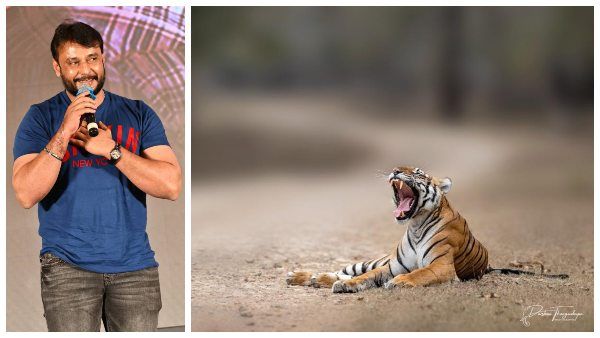 ಪ್ರಾಣಿಗಳನ್ನು 'ಶೂಟ್' ಮಾಡಬೇಕೆ? ಹಾಗಿದ್ದರೆ ದರ್ಶನ್‌ ಮಾತು ಕೇಳಿ