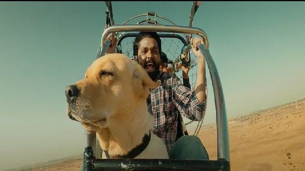 '777 ಚಾರ್ಲಿ'ಯ ಪ್ಯಾನ್ ಇಂಡಿಯಾ ಟ್ರೈಲರ್ ರಿಲೀಸ್: ರಕ್ಷಿತ್ ಹಾಗೂ ಚಾರ್ಲಿ ಕಥೆಯೇನು?