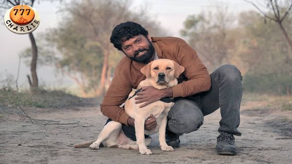 '777 ಚಾರ್ಲಿ' ಸಿನಿಮಾಗೆ ಶ್ವಾನ ಪಡೆದ ಸಂಭಾವನೆ ಯಾವ ಸ್ಟಾರ್ ನಟನಿಗೂ ಕಮ್ಮಿಯಿಲ್ಲ!