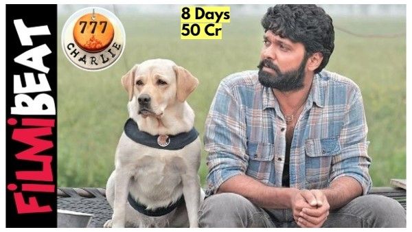 '777 ಚಾರ್ಲಿ' 8ನೇ ದಿನಕ್ಕೆ 50 ಕೋಟಿ: ಭಾರತದ ಗಳಿಕೆ ಎಷ್ಟು?