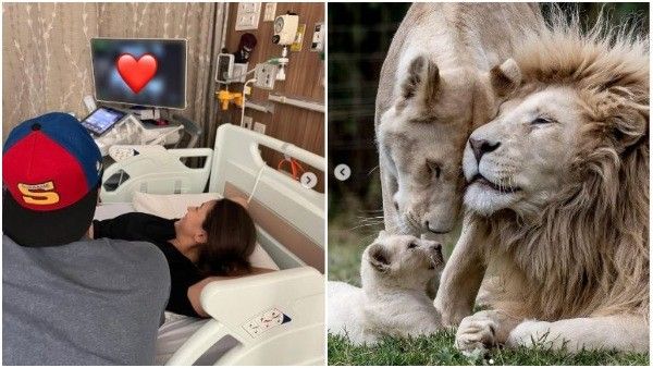 ಮೊದಲ ಮಗುವಿನ ನಿರೀಕ್ಷೆಯಲ್ಲಿ ಆಲಿಯಾ-ರಣ್‌ಬೀರ್: ಬೇಬಿ ಕಮಿಂಗ್ ಸೂನ್ ಎಂದ ನಟಿ!