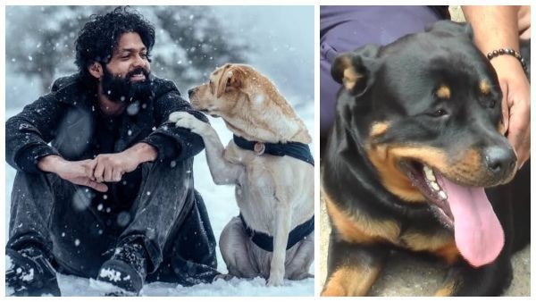 777 ಚಾರ್ಲಿ: ಶ್ವಾನ ಪ್ರೇಮ ಕುರಿತಾದ ಸಿನಿಮಾ ನೋಡಲು ಶ್ವಾನಗಳಿಗೆ ಇಲ್ಲ ಅನುಮತಿ!