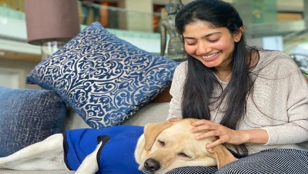 'ಚಾರ್ಲಿ'ಯ ಮುದ್ದಾಡಲು ಬಂದ ನಟಿ ಸಾಯಿ ಪಲ್ಲವಿ