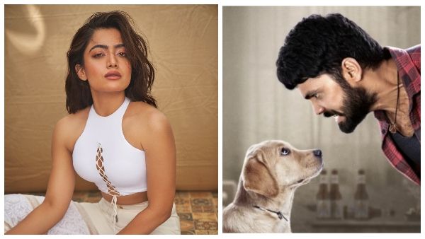 '777 ಚಾರ್ಲಿ' ಸಿನಿಮಾ ನೋಡಿ ರಶ್ಮಿಕಾ ಮಂದಣ್ಣರ ಟ್ರೋಲ್ ಮಾಡುತ್ತಿರುವ ಅಭಿಮಾನಿಗಳು