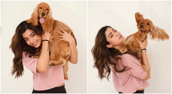 ರಶ್ಮಿಕಾ ಮಂದಣ್ಣ ನಾಯಿಯಿಂದ ನಿರ್ಮಾಪಕರಿಗೆ ಸಂಕಷ್ಟ, ವಿಷ್ಯ ಕೇಳಿ ರಶ್ಮಿಕಾ ನಕ್ಕಿದ್ದು ಯಾಕೆ?