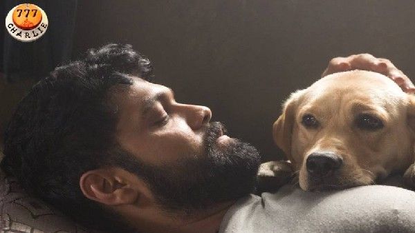 ರಕ್ಷಿತ್ ಶೆಟ್ಟಿಯ '777 ಚಾರ್ಲಿ' ಕಲೆಕ್ಷನ್ ಎಷ್ಟು? 'ಕೆಜಿಎಫ್ 2' ಬಳಿಕ ಪಂಡಿತರ ಲೆಕ್ಕಾಚಾರವೇನು?