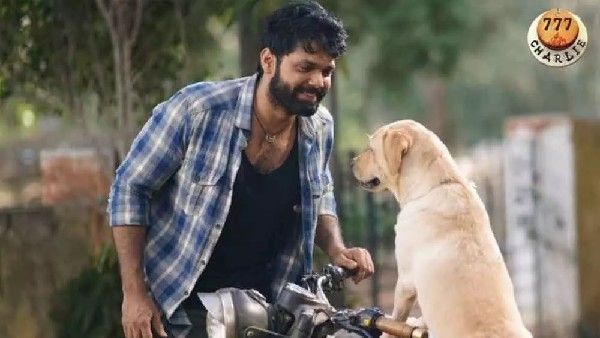 25 ದಿನಗಳನ್ನು ಪೂರೈಸಿದ '777 ಚಾರ್ಲಿ': ರಕ್ಷಿತ್ ಶೆಟ್ಟಿ ಸಿನಿಮಾ ಕಲೆಕ್ಷನ್ ಎಷ್ಟು?