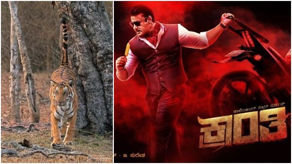 ದರ್ಶನ್ ಟ್ವೀಟ್‌ನಲ್ಲಿ 'ಹುಲಿ'ಪ್ರತ್ಯಕ್ಷ: ಸೌಂದರ್ಯ, ಶೌರ್ಯದ ಸಂಕೇತ ಎಂದ ದರ್ಶನ್: ಹಿನ್ನೆಲೆ ಏನು?