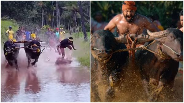 'ಕಾಂತಾರ' ಮೇಕಿಂಗ್‌: 'ಕಂಬಳ ಗದ್ದೆಯಲ್ಲಿ ಕ್ಯಾಮೆರಾನೂ ಬಿತ್ತು.. ಮುಖವೂ ಜಜ್ಜಿ ಹೋಯ್ತು'