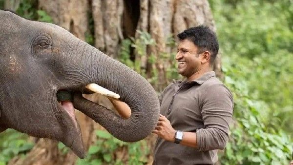 ಅಪ್ಪುಗೆ ಆನೆ ಎಂದರೆ ಭಯ-ಪ್ರೀತಿ-ಕಾಳಜಿ, ಇದಕ್ಕೆ ಕಾರಣವೂ ಇದೆ