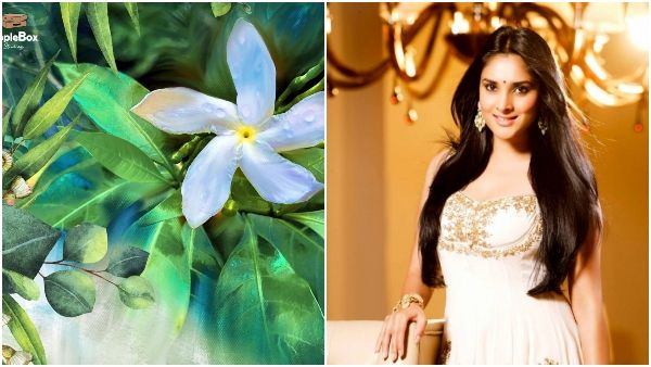 Ramya : ನಾಯಕಿಯಾಗಿ ಚಿತ್ರರಂಗಕ್ಕೆ ರಮ್ಯಾ ವಾಪಸ್: ಯಾವ ಸಿನಿಮಾ? ಹೀರೋ ಯಾರು? ಇಲ್ಲಿದೆ ಡಿಟೈಲ್ಸ್!