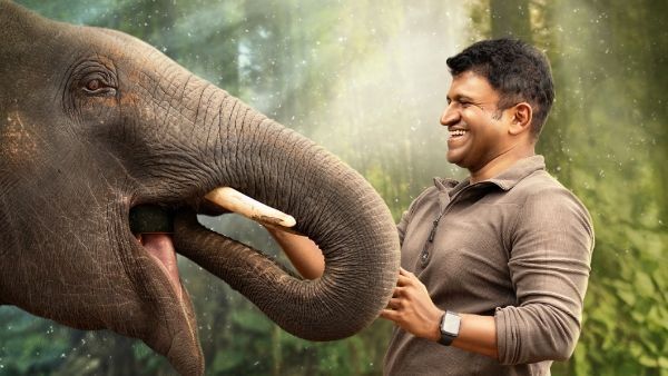 ಕೊನೆ ಫೋಟೊ ಹಾಕಿ ತಲೆಗೆ ಹುಳ ಬಿಟ್ಟಿದ್ರು ಅಪ್ಪು; 'ಗಂಧದ ಗುಡಿ' ಅಲ್ಲ ಇದು ಪಕ್ಕಾ ಆ ಚಿತ್ರ ಎಂದಿದ್ರು ಫ್ಯಾನ್ಸ್