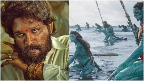 'ಅವತಾರ್ 2' ಜೊತೆಗೆ ಬರಲಿದೆ 'ಪುಷ್ಪ 2'! ಏನಿದು ಕನೆಕ್ಷನ್