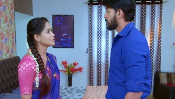 Paaru Serial: ಆಸ್ತಿಯಲ್ಲಿ ಪಾಲು ಕೇಳುತ್ತಾರಾ ಪಾರು - ಆದಿ?