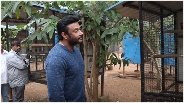 ದರ್ಶನ್ ಫಾರ್ಮ್‌ಹೌಸ್ ಮೇಲೆ ಅರಣಾಧಿಕಾರಿಗಳ ರೇಡ್: ವನ್ಯ ಪಕ್ಷಿಗಳು ವಶ