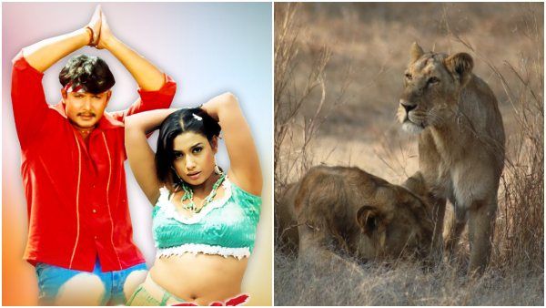 ದರ್ಶನ್ ಸಿಂಹ.. ರಕ್ಷಿತಾ ಸಿಂಹಿಣಿ: ಇಂಟ್ರೆಸ್ಟಿಂಗ್ ಸಂಗತಿ ಬಿಚ್ಚಿಟ್ಟ ಡಿ ಬಾಸ್!