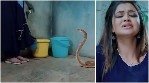 ರಾಮಾಚಾರಿ: ಚಾರುಗೆ ಕಚ್ಚಿದ ಹಾವು! ಉಳಿಯುತ್ತಾ ಜೀವ?