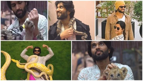 ಹುಲಿಗೆ ಹಾಲು.. ಸಿಂಹದೊಂದಿಗೆ ಆಟ.. ಹಾವುಗಳ ಜೊತೆ ಸರಸ: ರಶ್ಮಿಕಾ ಮಾತ್ರ ಮಿಸ್ಸಿಂಗ್