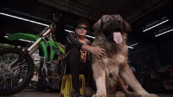 ರವಿಚಂದ್ರನ್ ಸಿನಿಮಾದಲ್ಲಿ ನಾಯಿಗೂ ದುಬಾರಿ ಸುಂಭಾವನೆ! ಎಷ್ಟು ಲಕ್ಷ ಗೊತ್ತೆ?