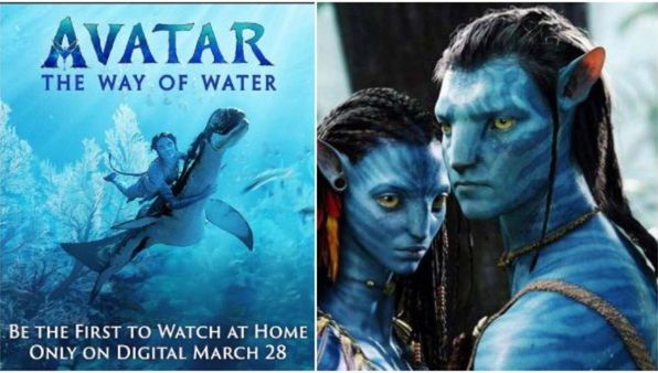 3 ಓಟಿಟಿ ಪ್ಲಾಟ್‌ಫಾರ್ಮ್‌ಗಳಲ್ಲಿ 'ಅವತಾರ್ 2' ರಿಲೀಸ್: ಲಿಸ್ಟ್‌ನಲ್ಲಿದೆ 'ಶೆಹಜಾದ', 'ಗ್ಯಾಸ್‌ಲೈಟ್'