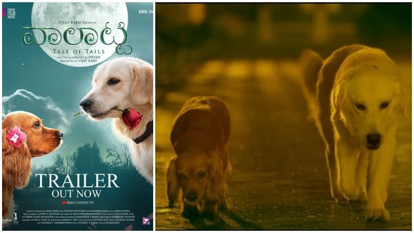 Valatty Trailer: ಶ್ವಾನಪ್ರಿಯರಿಗೆ ಮತ್ತೊಂದು ಸಿನಿಮಾ 'ವಾಲಟ್ಟಿ'.. ಟ್ರೈಲರ್ ಸೂಪರ್