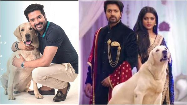 'ಅವನು ಮತ್ತು ಶ್ರಾವಣಿ' ಧಾರಾವಾಹಿಯಲ್ಲಿ ಈ ಶ್ವಾನವೇ ಪ್ರಮುಖ ಪಾತ್ರಧಾರಿ.. ನಟಿಸುತ್ತಿರೋದು '777 ಚಾರ್ಲಿ'ನಾ?