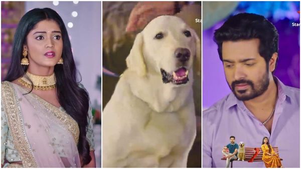 Avanu matte shravani: ಅಭಿಮನ್ಯು ಹೆಸರಿಗೆ ಬೆಚ್ಚಿಬಿದ್ದಿದ್ದಾಳೆ ಶ್ರಾವಣಿ.. ಚೀಕು ಕಣ್ಣಿಗೆ ಬಿದ್ದರೂ ಸಾಕು..!