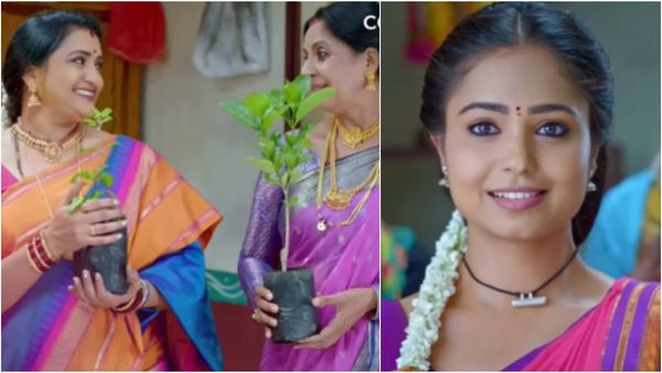 Brundavana Serial: ಪುಷ್ಪಾಳ ಜೀವನ ಹಾಳು ಮಾಡಲು ಹೊರಟ ಅತ್ತಿಗೆ ಲಾಕ್.. ಮುಂದೇನಾಯ್ತು?