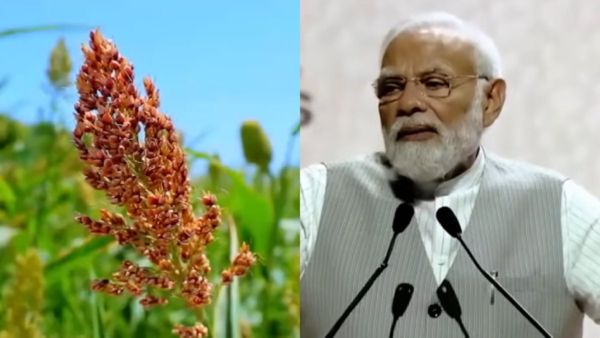 Grammy Award: ಪ್ರತಿಷ್ಠಿತ ಗ್ರ್ಯಾಮಿ ಪ್ರಶಸ್ತಿಗೆ ನಾಮನಿರ್ದೇಶನಗೊಂಡ ಪಿಎಂ ಮೋದಿ!