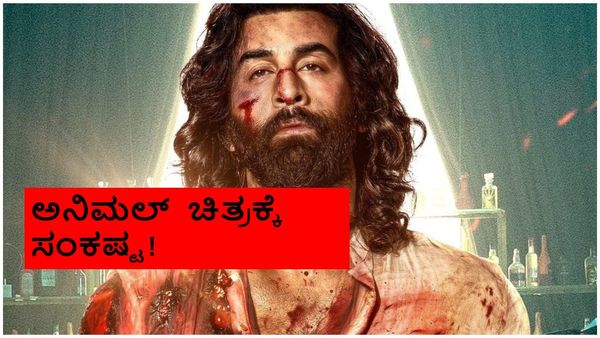 Animal OTT: ಲಾಭ ಹಂಚಿಕೆ ವಿಚಾರದಲ್ಲಿ ಕಿರಿಕ್: 'ಅನಿಮಲ್' ಸ್ಟ್ರೀಮಿಂಗ್‌ಗೆ ಸ್ಟೇ ತಂದ ನಿರ್ಮಾಪಕ