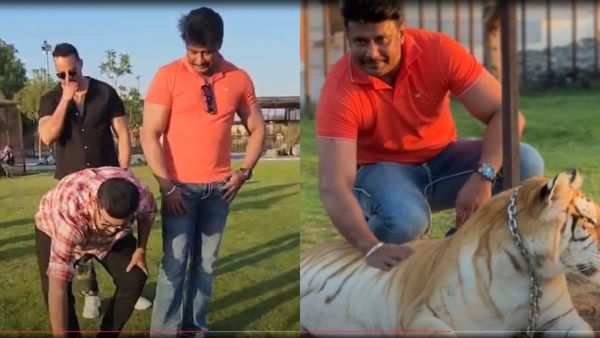ದುಬೈನಲ್ಲೂ ದರ್ಶನ್ ಪ್ರಾಣಿ ಪ್ರೀತಿ; ಹುಲಿ ಮೈ ಸವರಿ ಖುಷಿ ಪಟ್ಟ ಡಿ ಬಾಸ್!