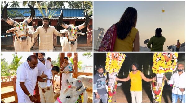 Sankranti 2024: ಕಿಚ್ಚು ಹಾಯಿಸಿದ ದರ್ಶನ್, ಧ್ರುವ, ಪ್ರೇಮ್: ಗಾಳಿಪಟ ಹಾರಿಸಿದ ಯಶ್