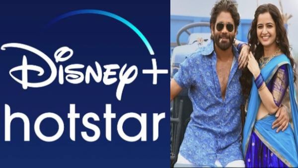 ನಾಗಾರ್ಜುನ ಜೊತೆ ಮಿಂಚಿದ ಆಶಿಕಾ ಸಿನಿಮಾ 'ನಾ ಸಾಮಿ ರಂಗ' ಓಟಿಟಿ ರಿಲೀಸ್‌ಗೆ ಮುಹೂರ್ತ; ಎಲ್ಲಿ? ಯಾವಾಗ?