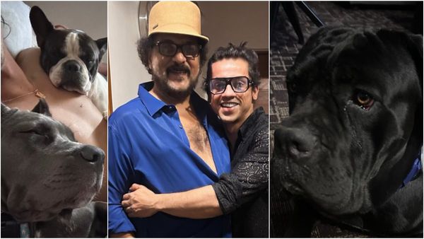 ಮಾರ್ಡನ್ ರವಿಚಂದ್ರನ್ ಅಂತಲೇ ಟ್ರೆಂಡ್ ಆಗ್ತಿರೋ ಕಿಶನ್ ಬಿಳಗಲಿ ಬಹು ದೊಡ್ಡ ಶ್ವಾನ ಪ್ರೇಮಿ